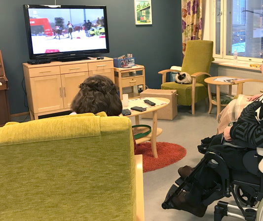 kissa hoivakodissa, kissa muistisairaiden kanssa, kissan kanssa vierailu hoivakodissa, lemmikit ja vanhukset, pyhä birma