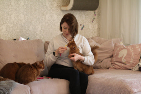 TRAINING A CAT FOR CARE ACTIVITIES - FROM DISASTER TO RESOURCE