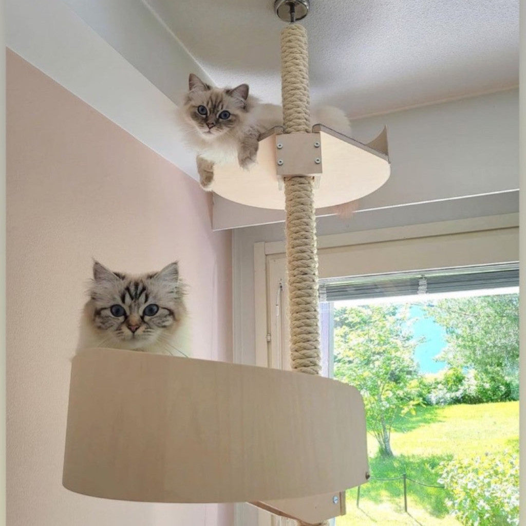 kissan kiipeilypuu kissan raapimispuu cat climbing tree cat scratching tree cat tree