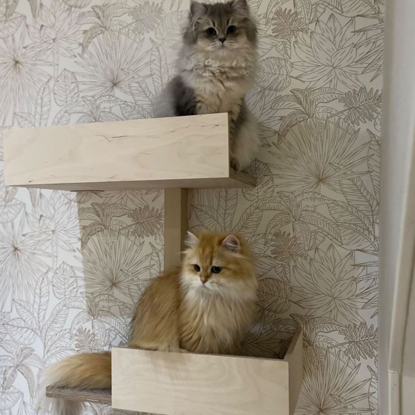 cat wall climbing shelves kissan seinähyllyt