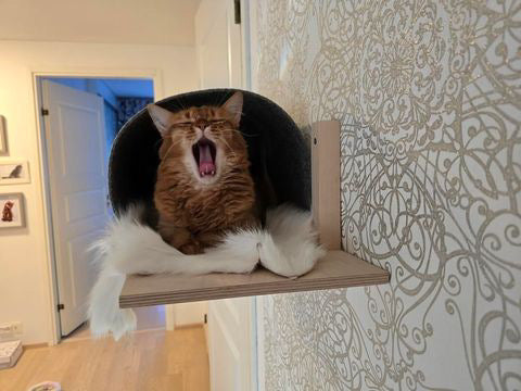 kissapuu_iglu_cat_wall_shelf