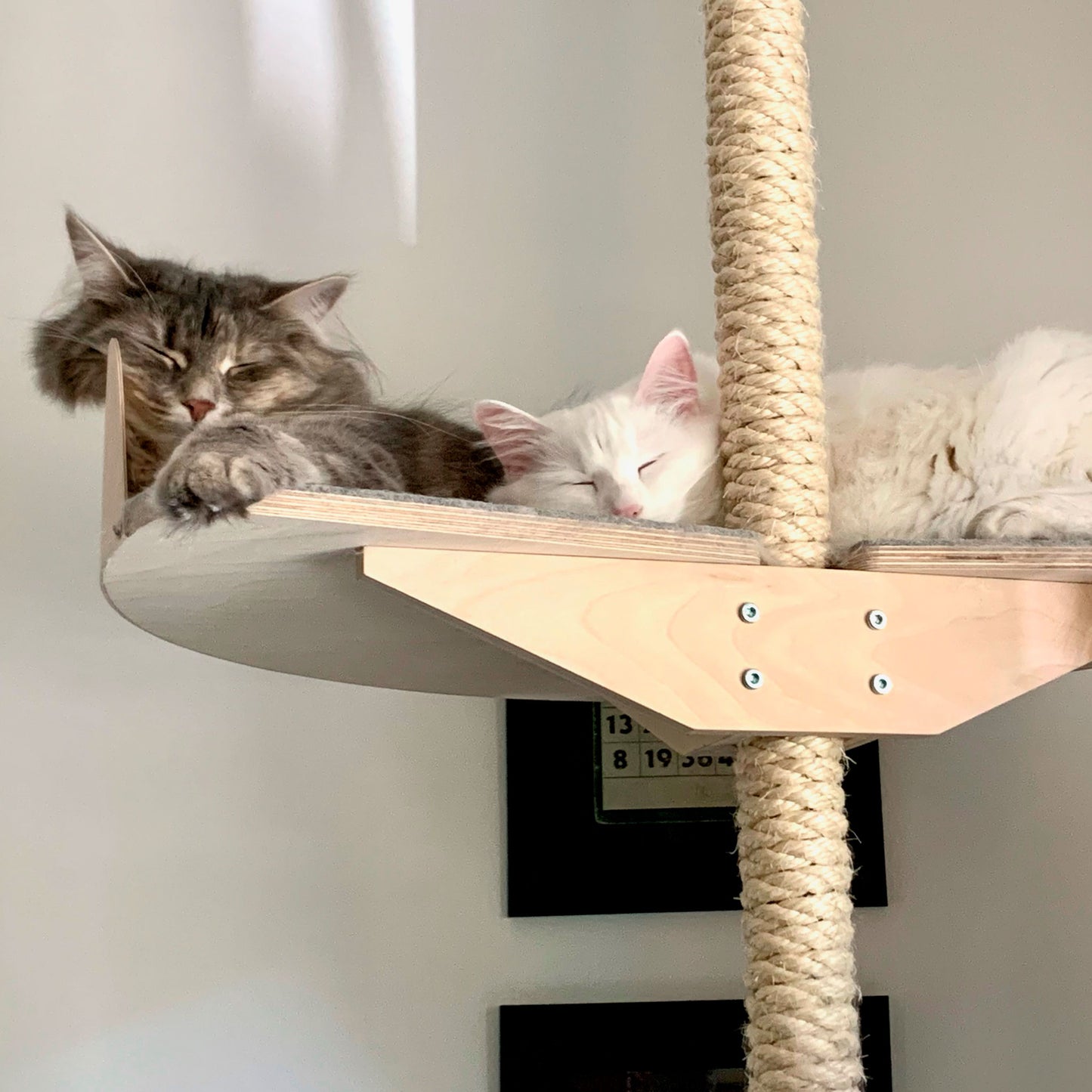 kissapuu isoille kissoille cat tree for big cats