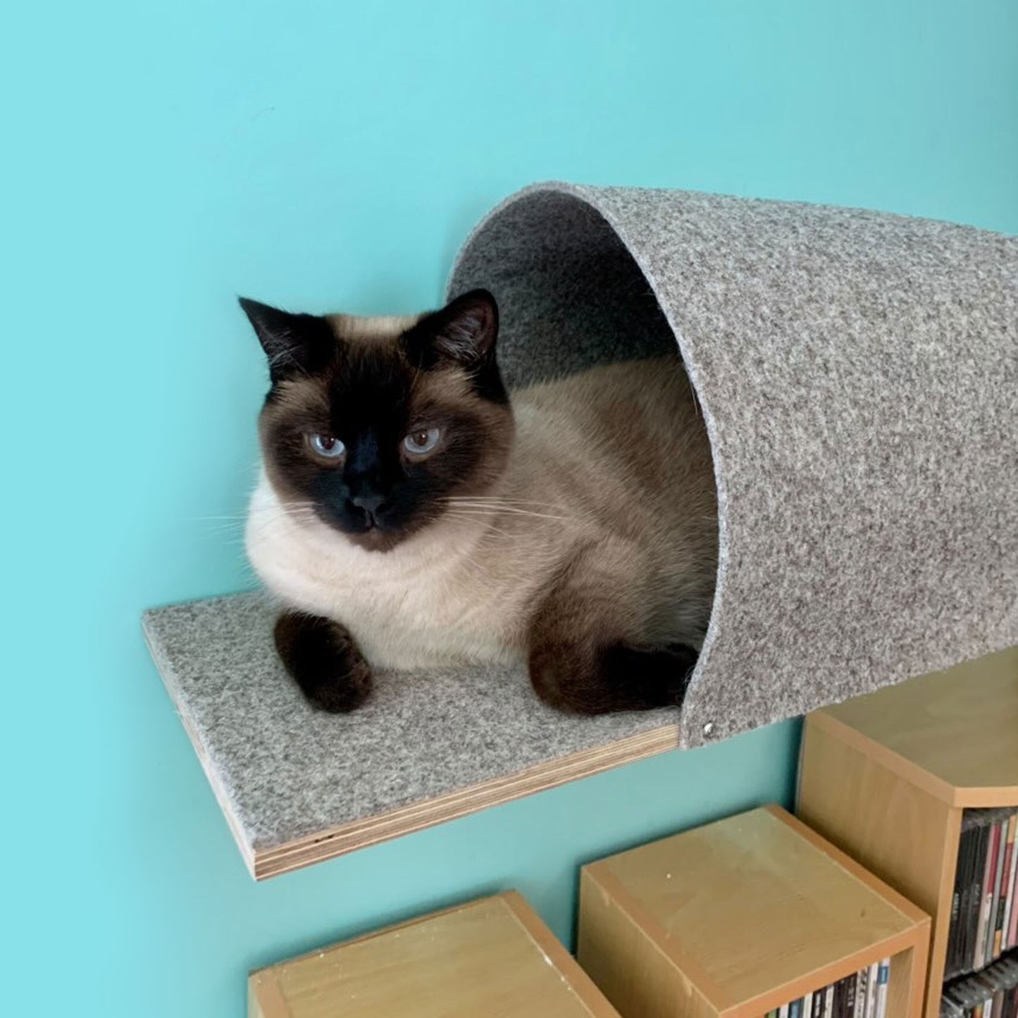 cat wall shelf igloo kissan seinähylly iglu
