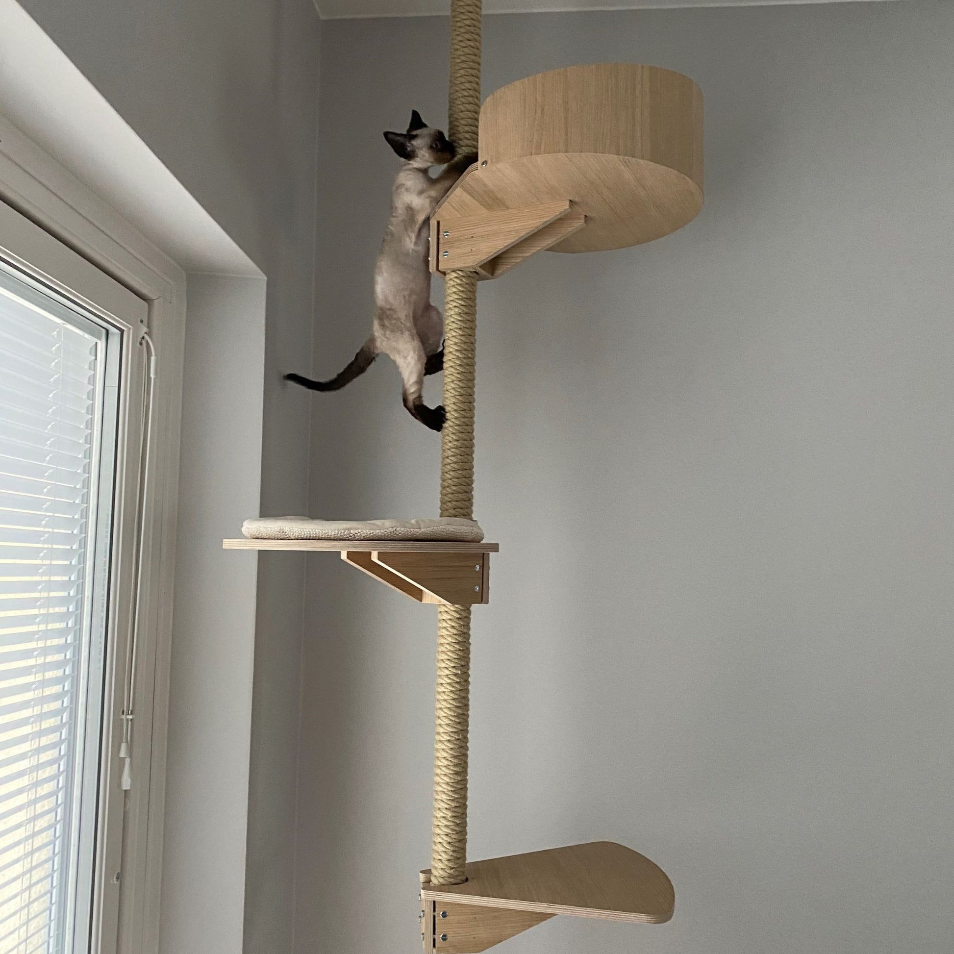 tyylikas kissan kiipeilypuu design cat tree