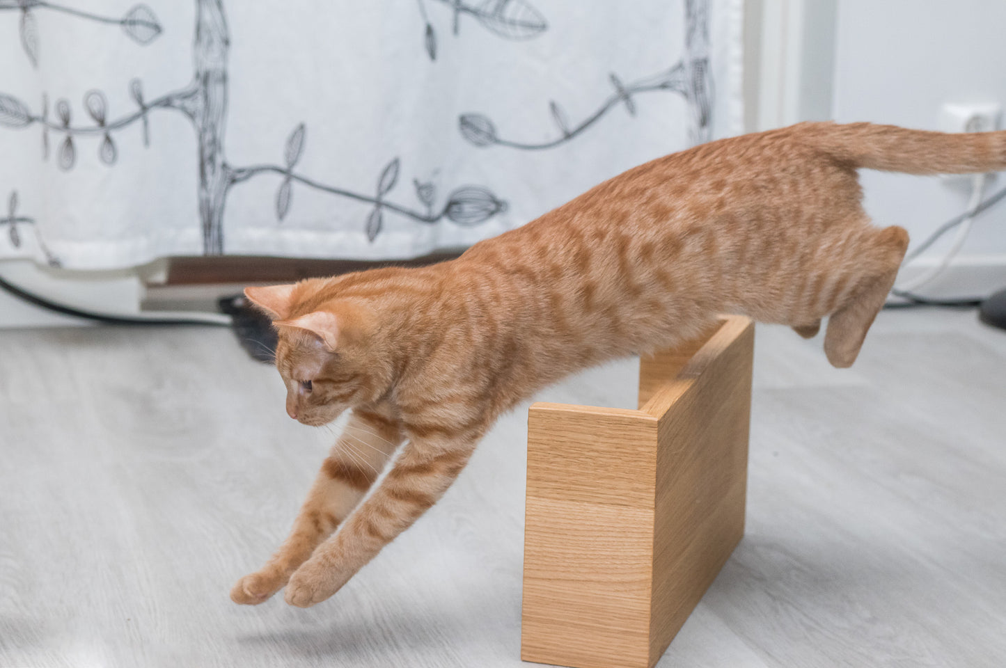kissapuu_kissan_ruokailutaso_cat_food_table_cat_agility