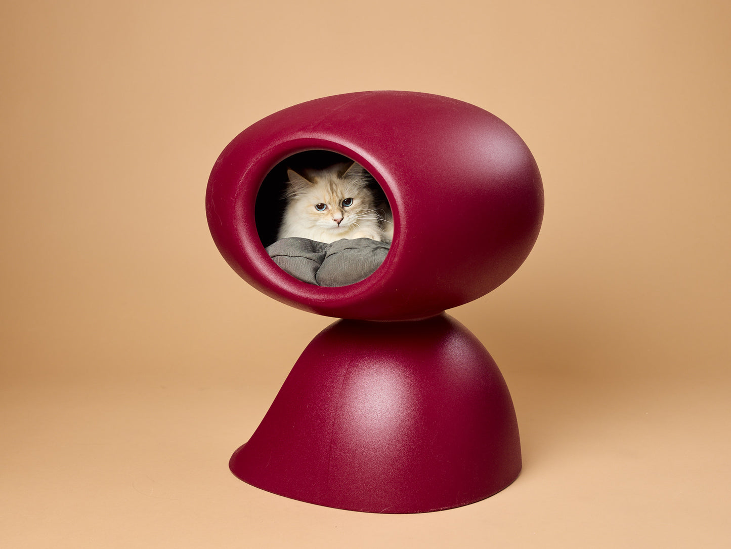 kissapuu_cat_scratching_bed_kissan_raapimispeti