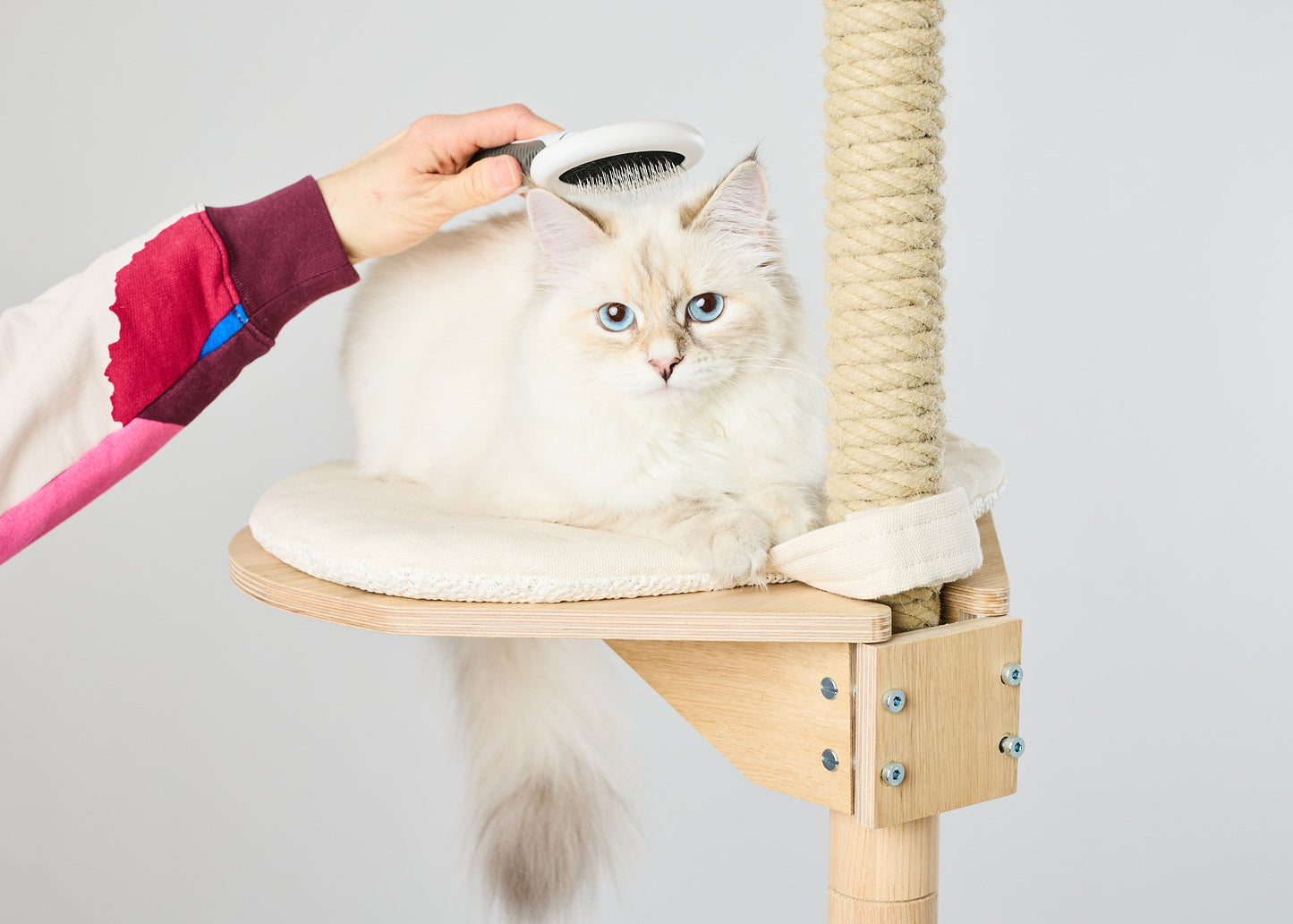 KISSAPUU_cat_grooming_kit_long_hair_catit_pitkakarvakissan_hoitosarja