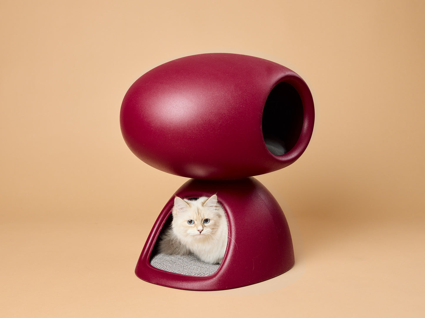 kissapuu_italian_cat_scratching_bed_kissan_raapimispeti