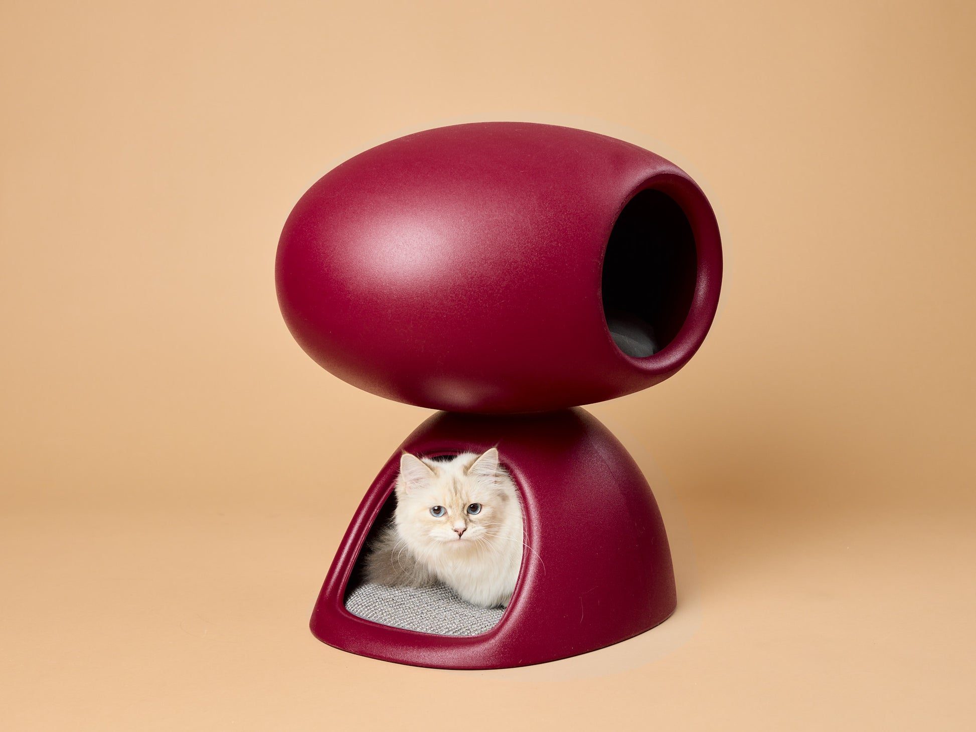 kissapuu_italian_cat_scratching_bed_kissan_raapimispeti