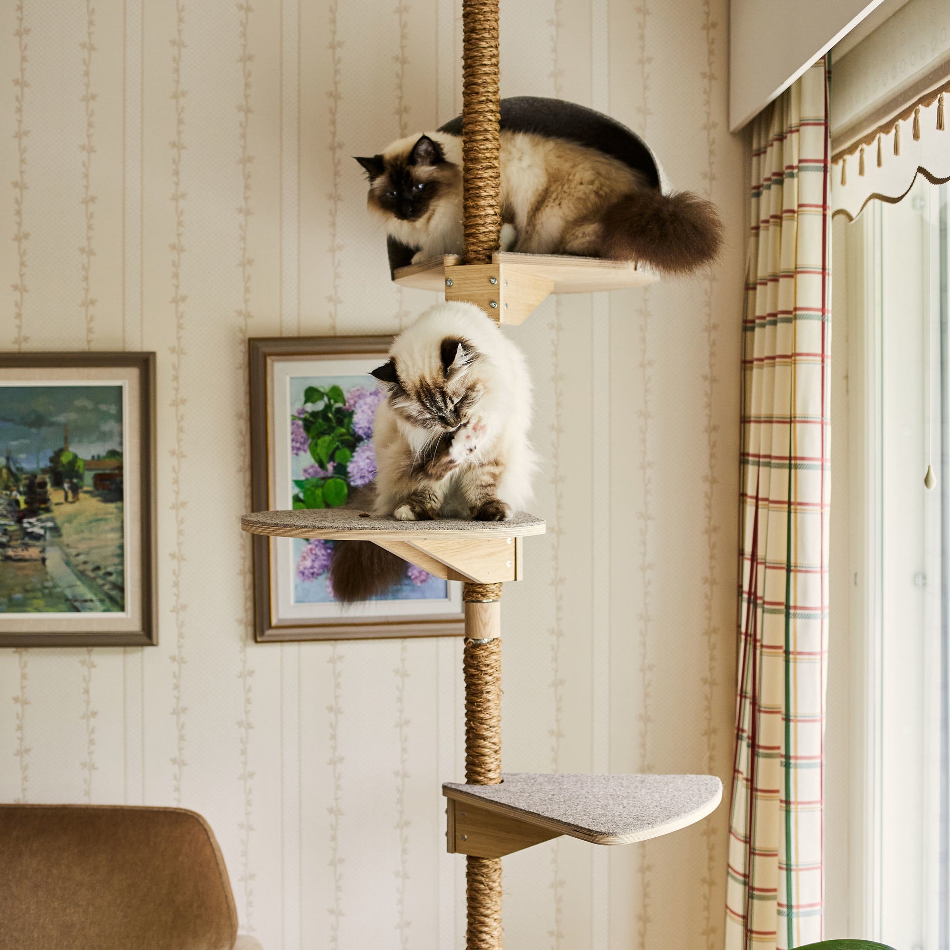floor to ceiling cat tree cat climbing tree for big cats