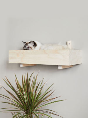 kissan seinähyllyt funktionaaliset seinähyllyt cat wall shelves