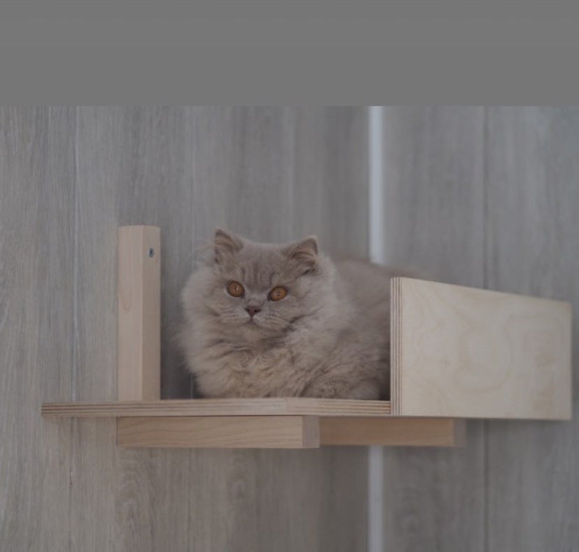 Kissan seinahylly cat wall climbing shelf