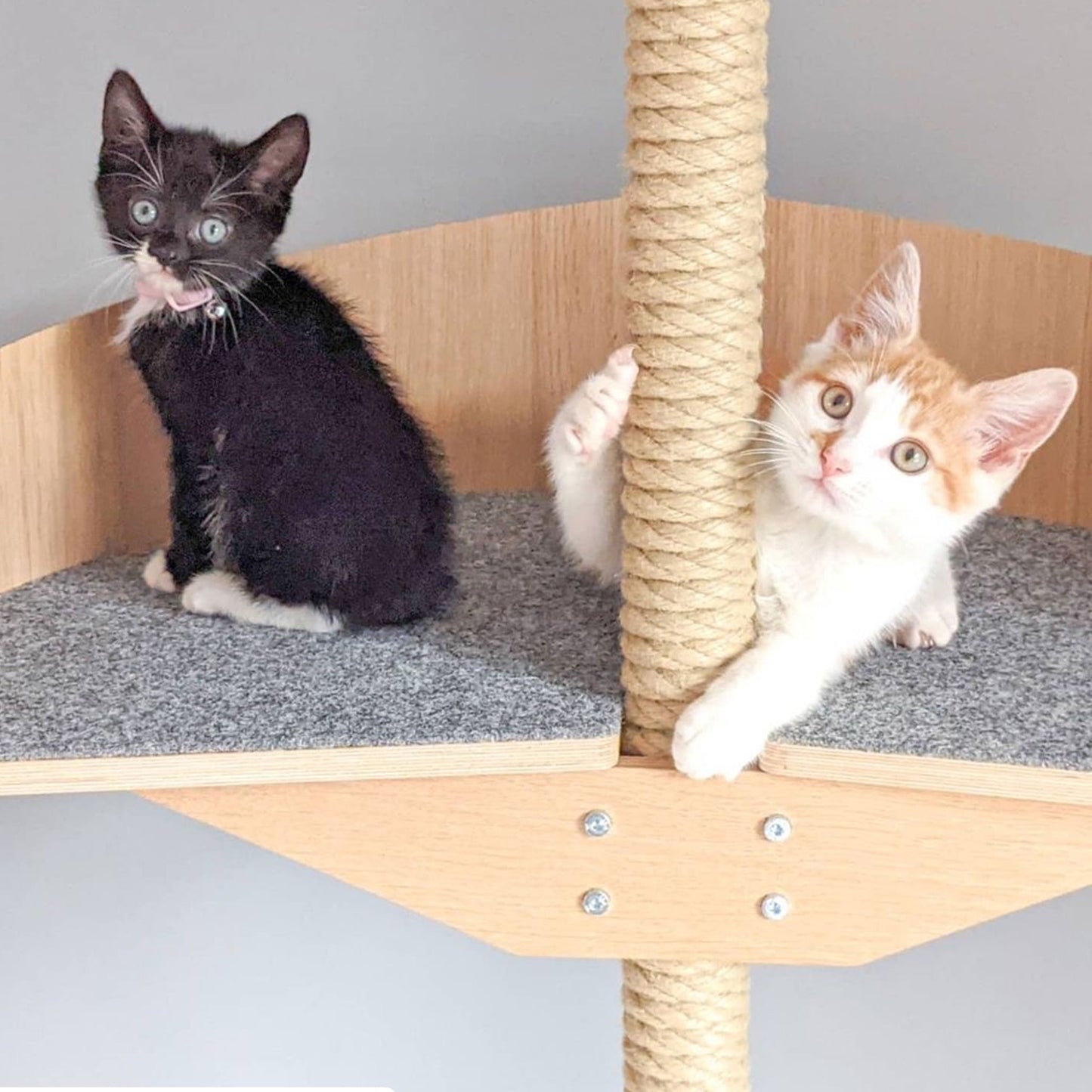 cat scratcher floor to ceiling cat climbing tree kissan kiipeilypuu kissan raapimispuu