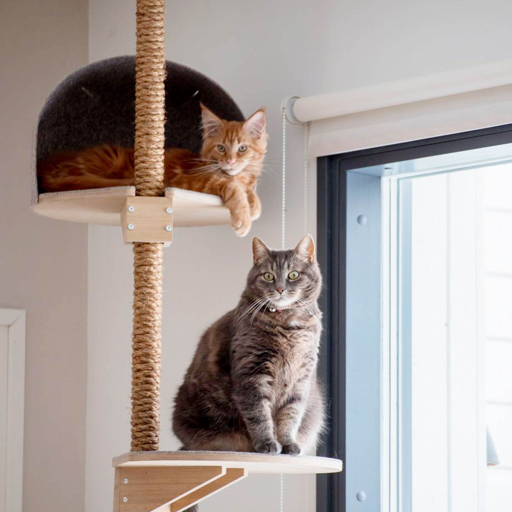 kissan_kiipeilypuu_kissan raapimispuu_scandinavian_cat_climbing_tree_nordic_cat scratching_tree