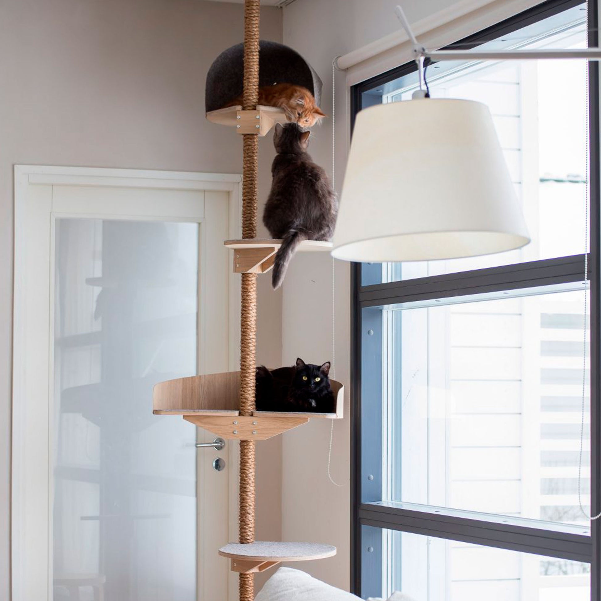 cat scratcher floor to ceiling cat climbing tree kissan kiipeilypuu kissan raapimispuu