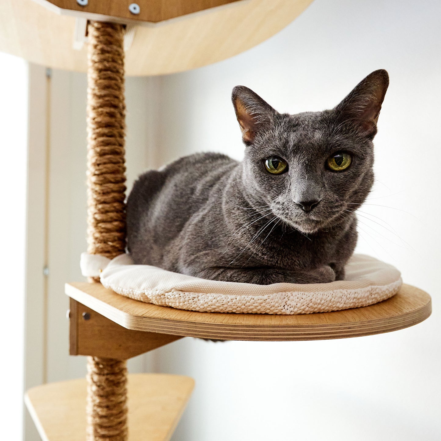 floor to ceiling cat tree vähän tilaa vievä kissan kiipeilypuu