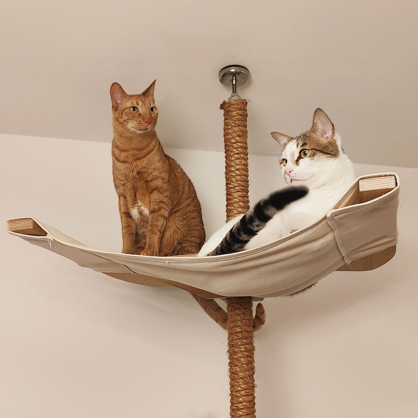kissapuu riippumatto kissan riippumatto cat tree hammock cat hammock