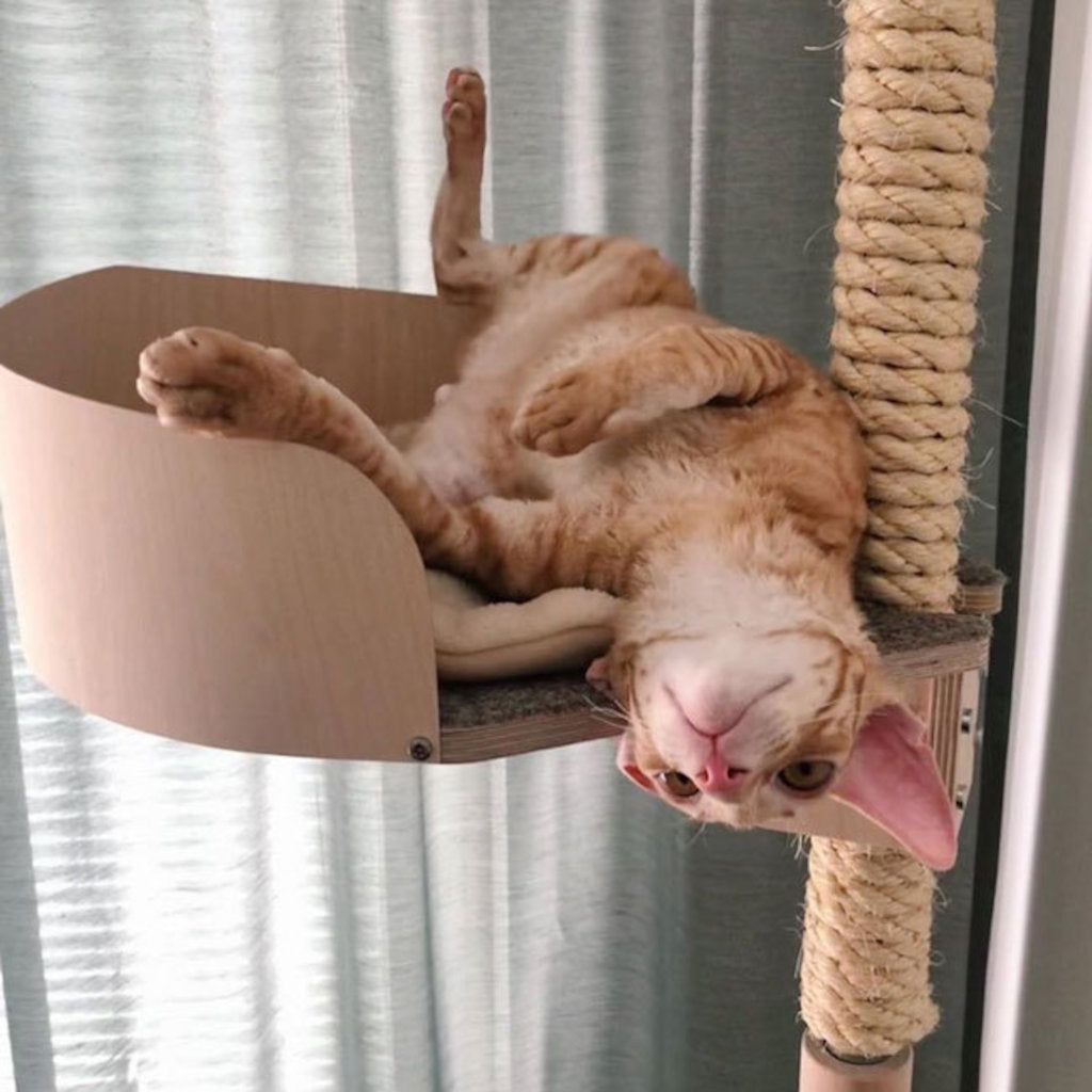 floor to ceiling cat tree cat climbing tree for big cats