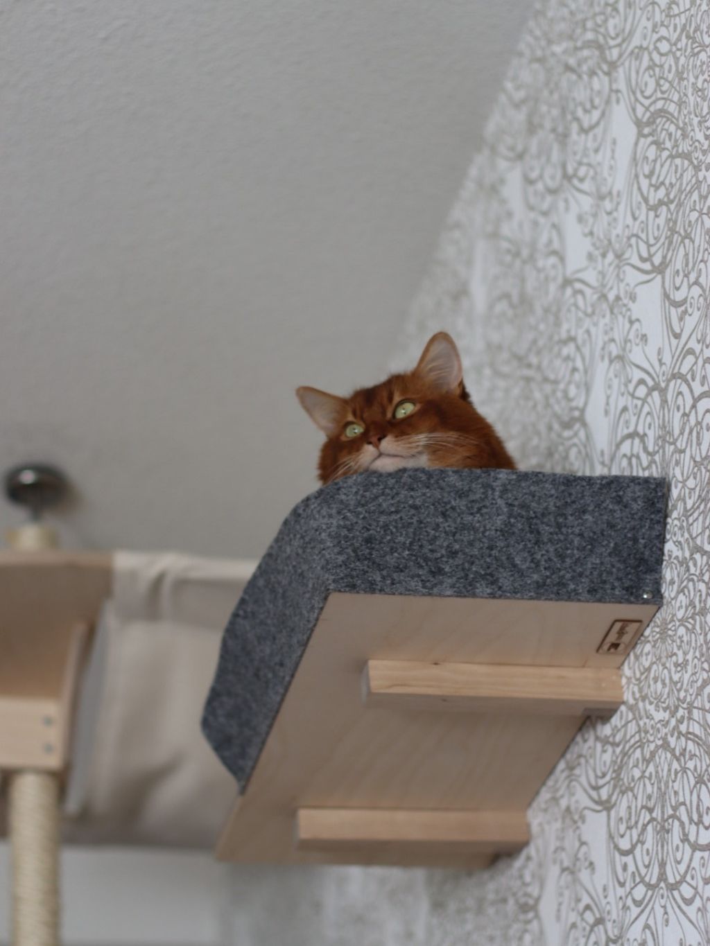 kissan seinähylly cat wall shelf
