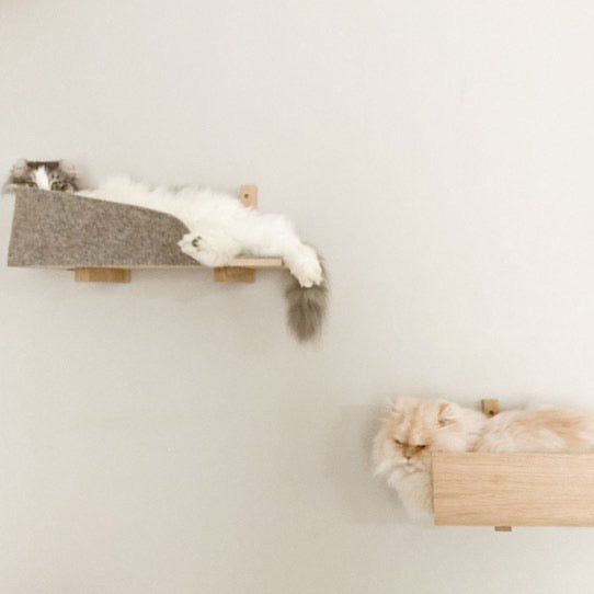 Kissapuu_wall_shelves_kissapuun_seinahyllyt