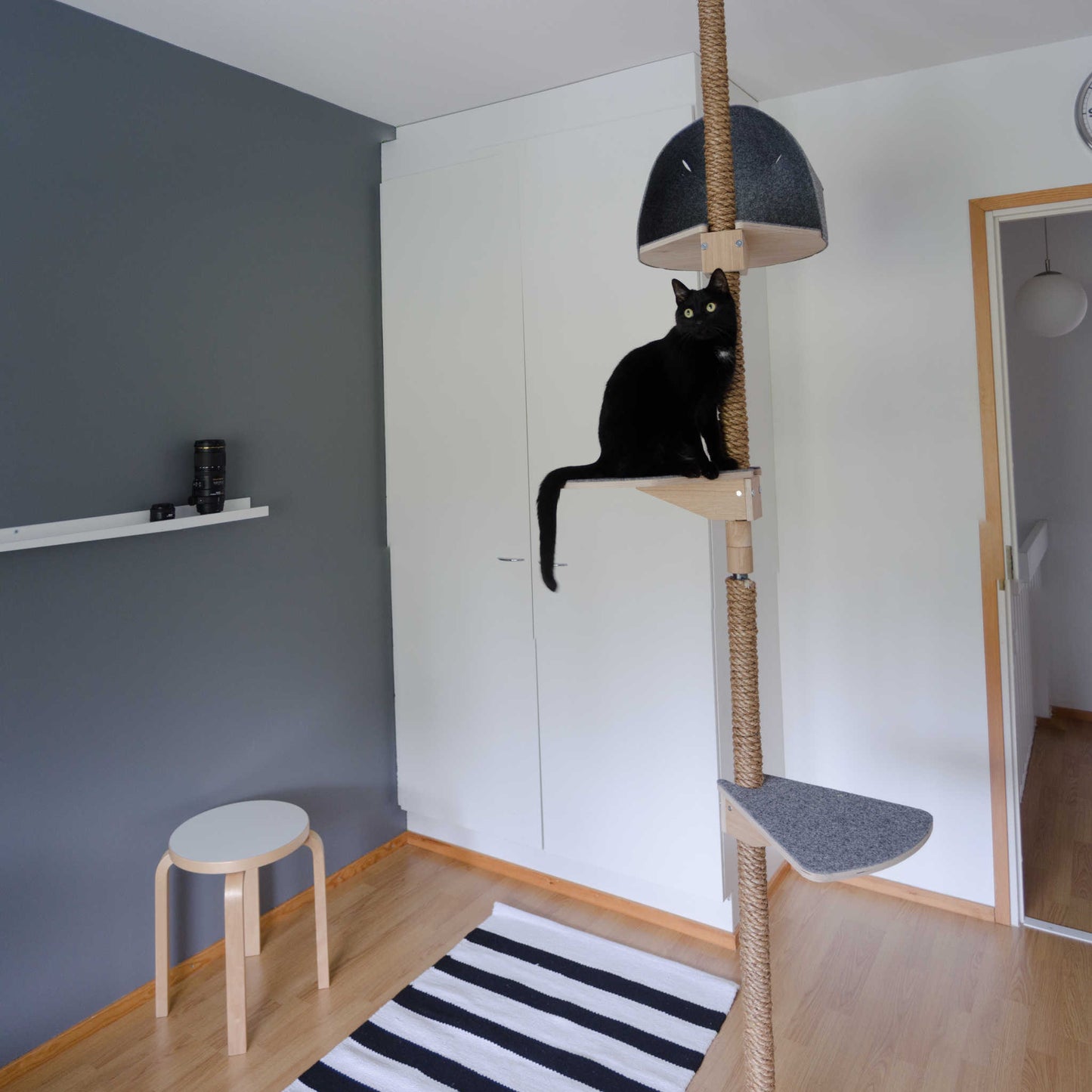 kissan kiipeilypuu kissan raapimispuu cat climbing tree cat scratching tree
