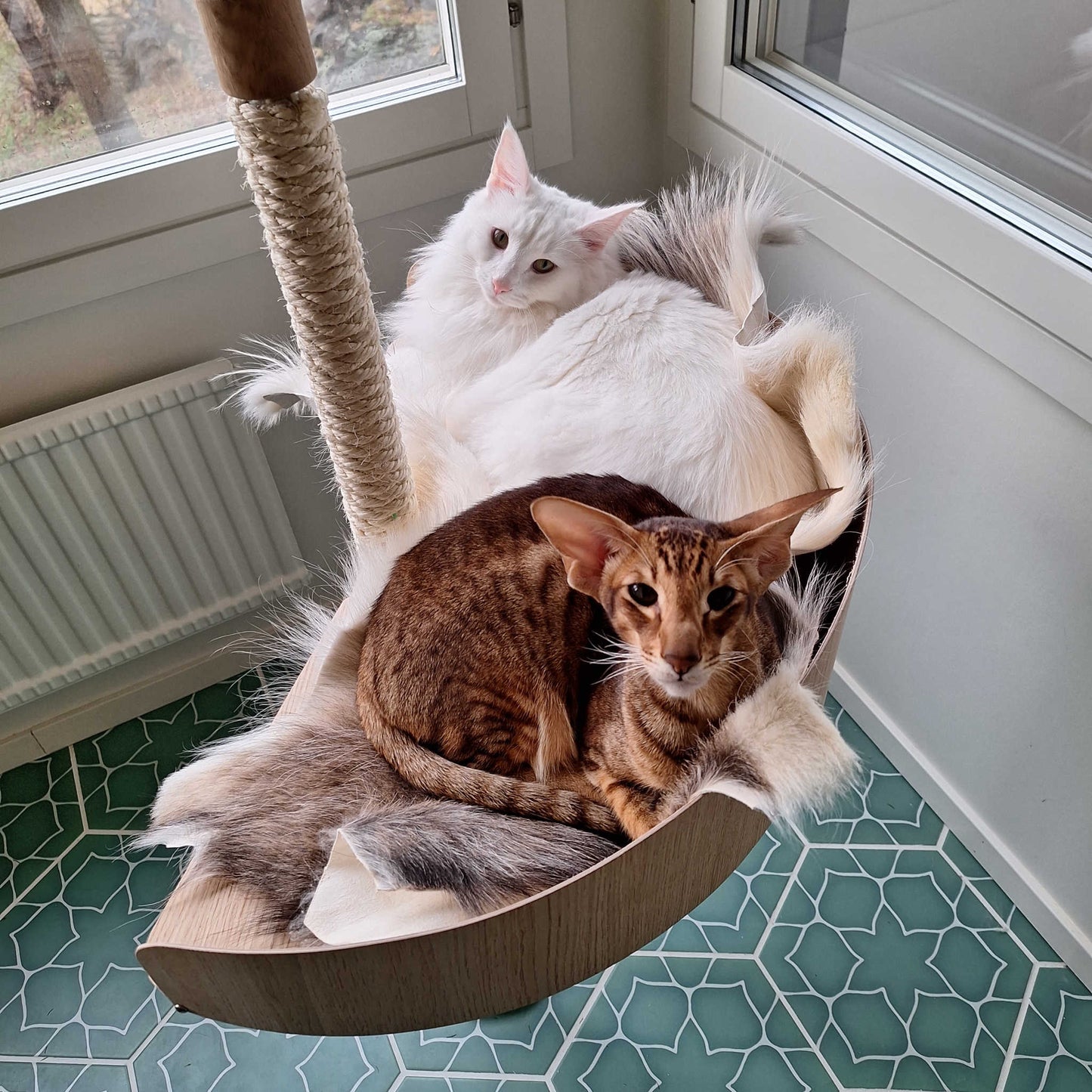 kissan kiipeilykeidas kissapuu monille kissoille cat tower cat tree for many cats
