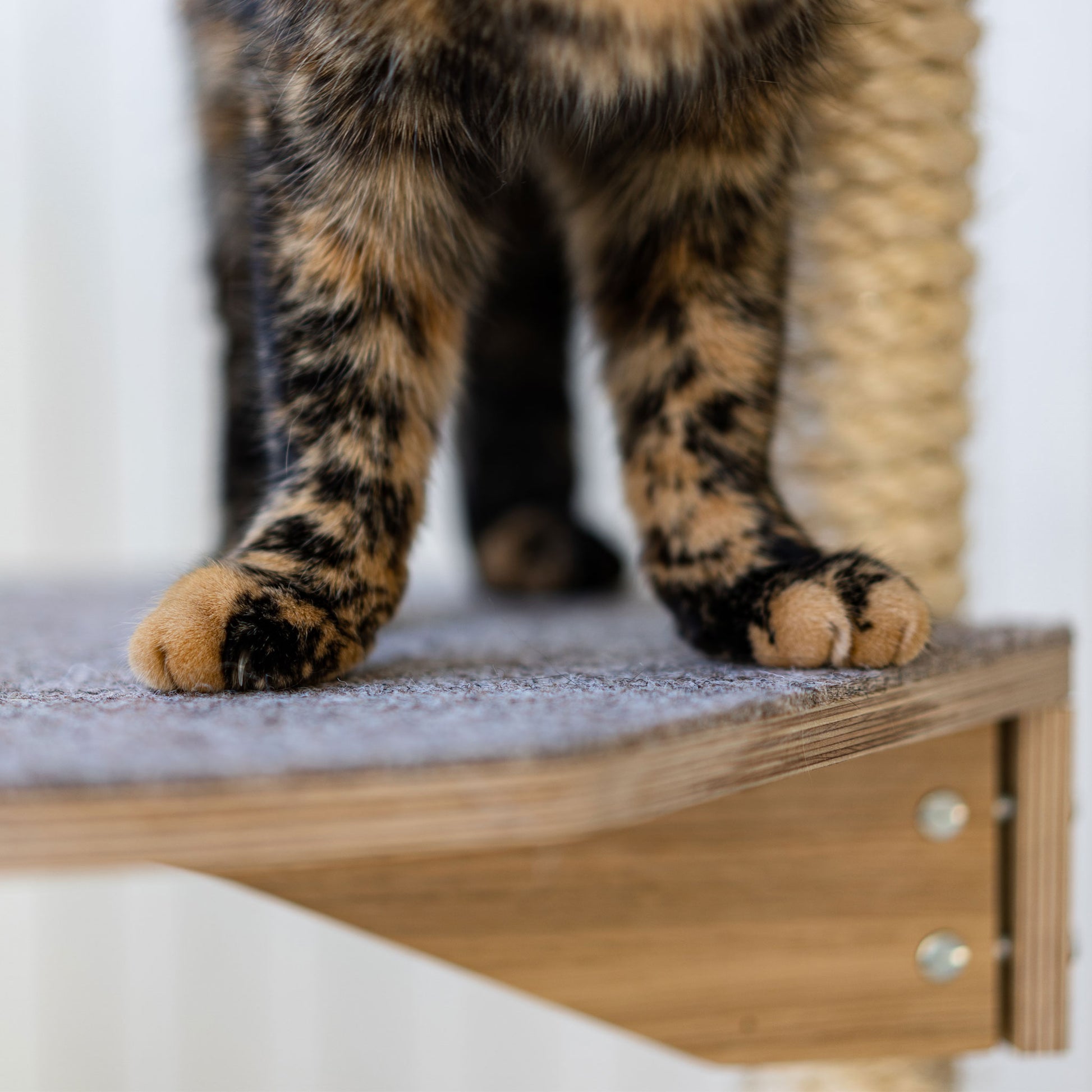 floor to ceiling cat tree vähän tilaa vievä kissan kiipeilypuu