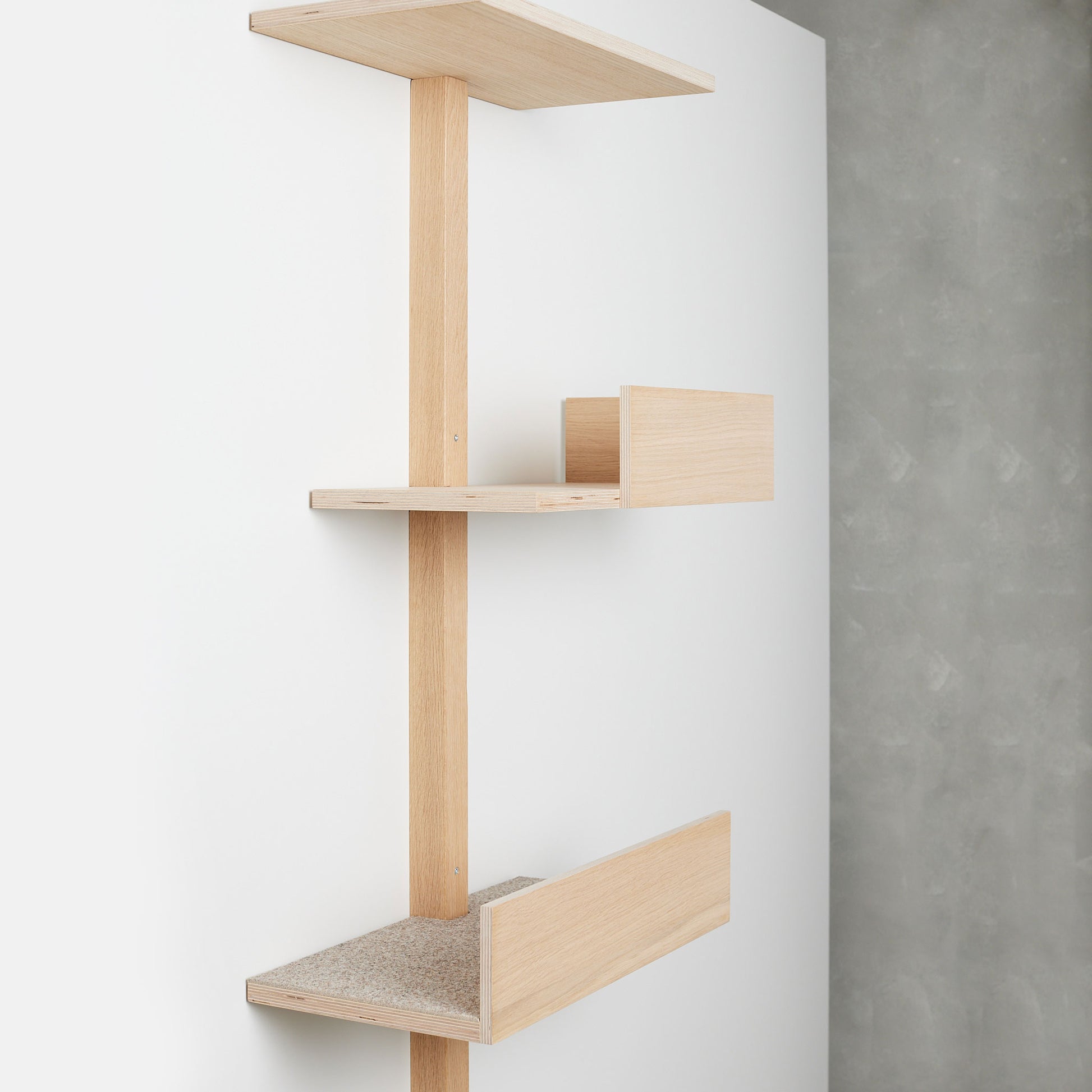 Kissapuun-tikapuut-seinalla kissapuu cat ladder on the wall