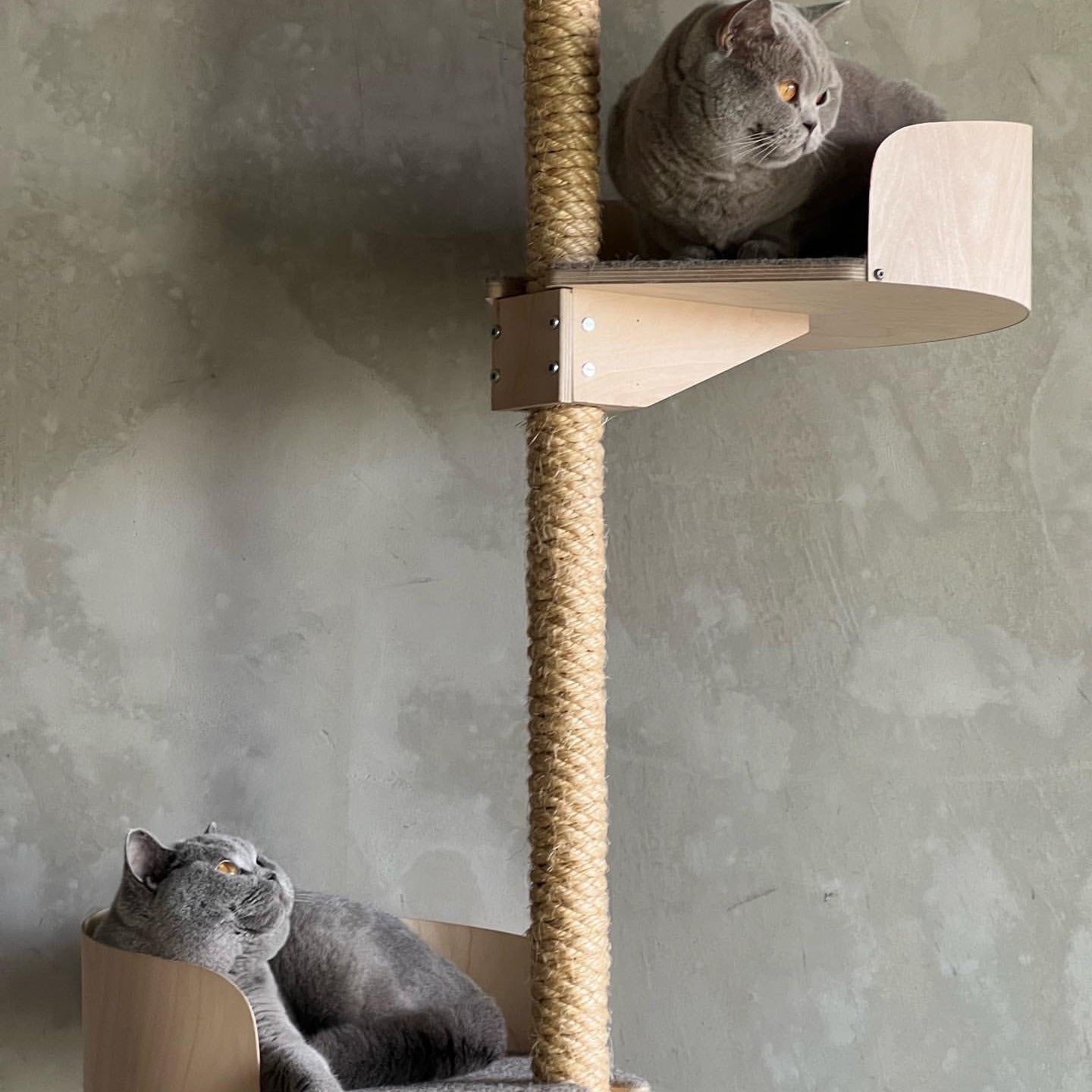 kissan kiipeilypuu kissapuu lattiasta kattoon floor to ceiling cat tree cat climbing tree