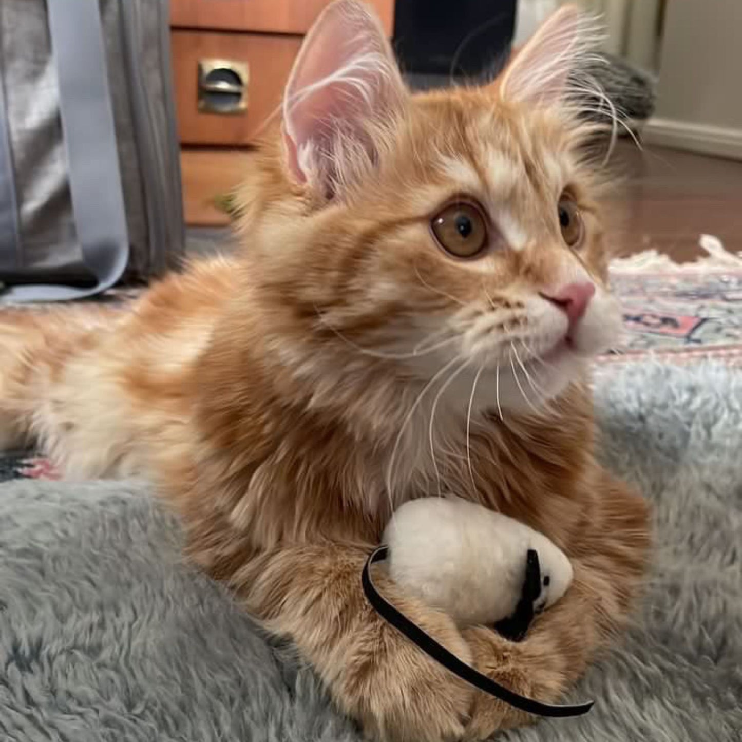 kissan lelu luonnonmateriaalista cat toy of natural material