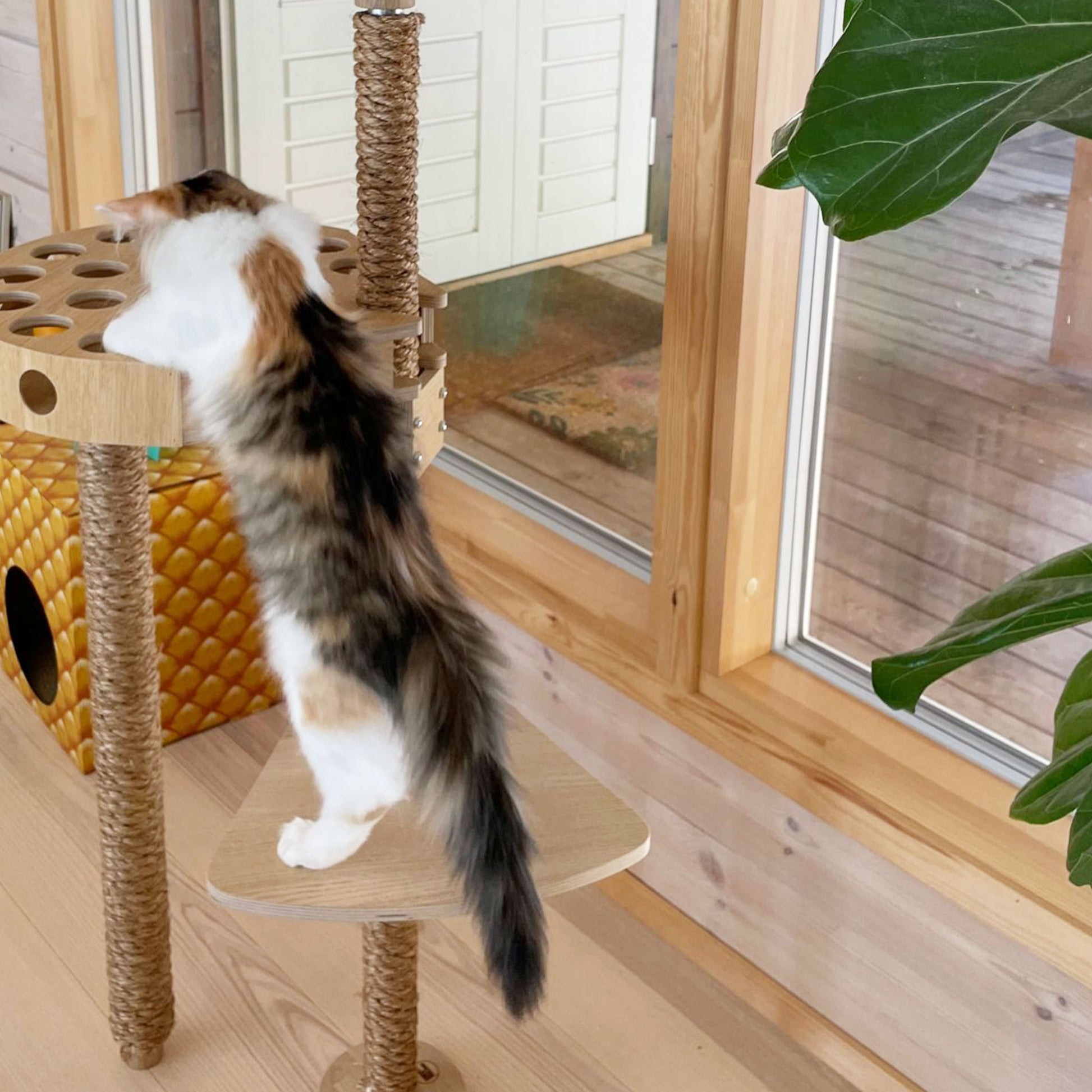 cat ping pong play cat tower multilevel cat tree kissan aktivointi monitasoinen kissapuu