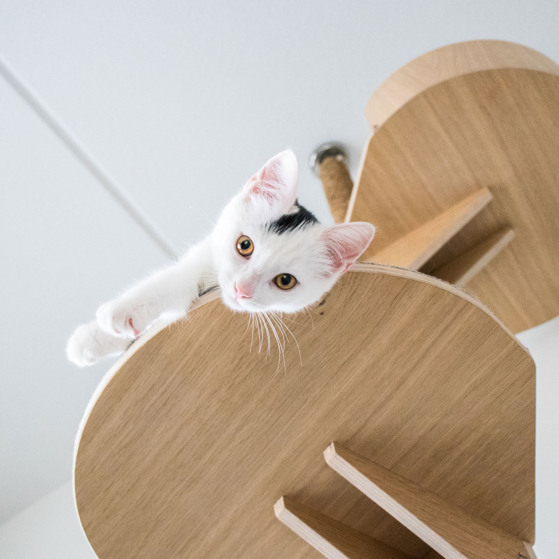 floor to ceiling cat tree vähän tilaa vievä kissan kiipeilypuu