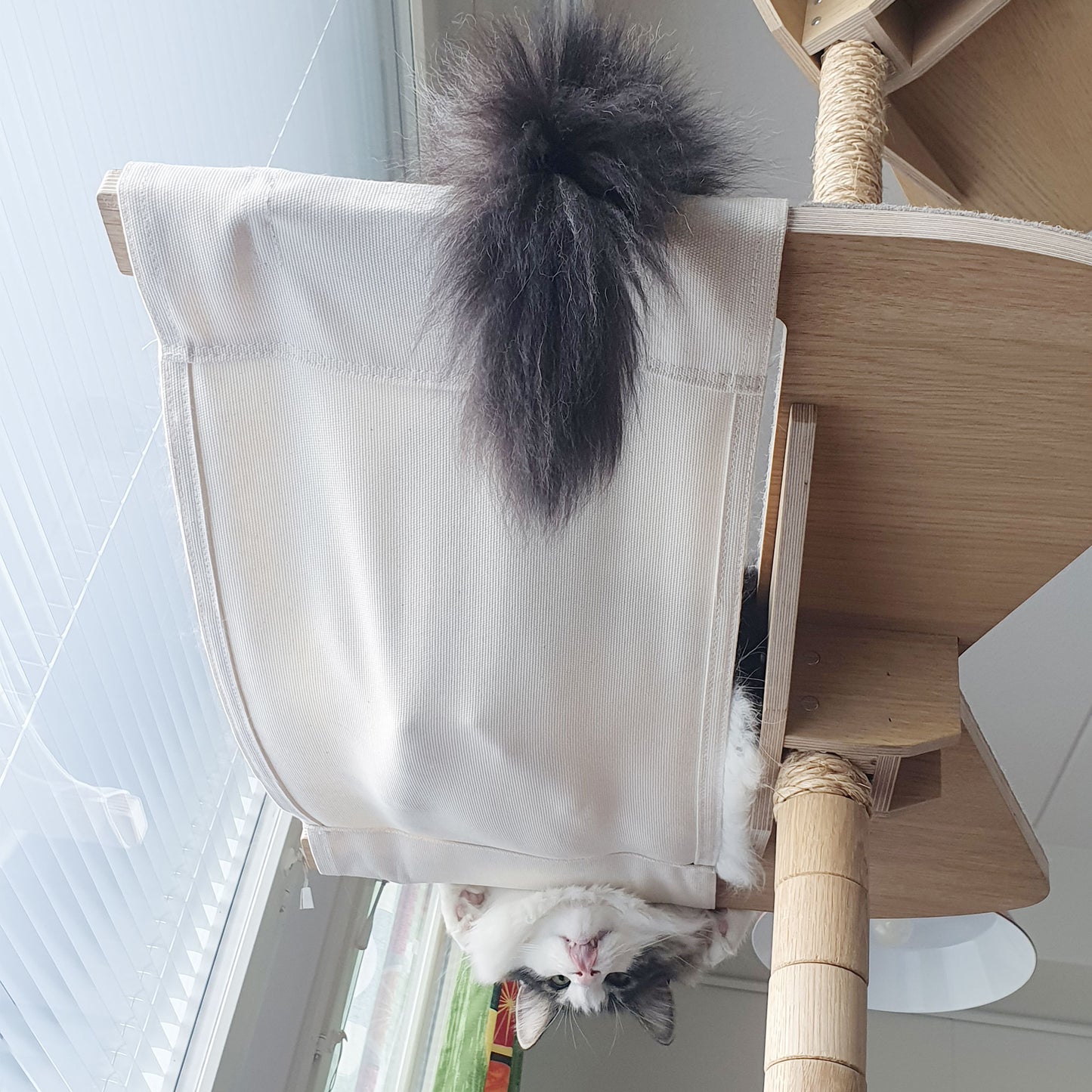 kissapuu riippumatto kissan riippumatto cat tree hammock cat hammock