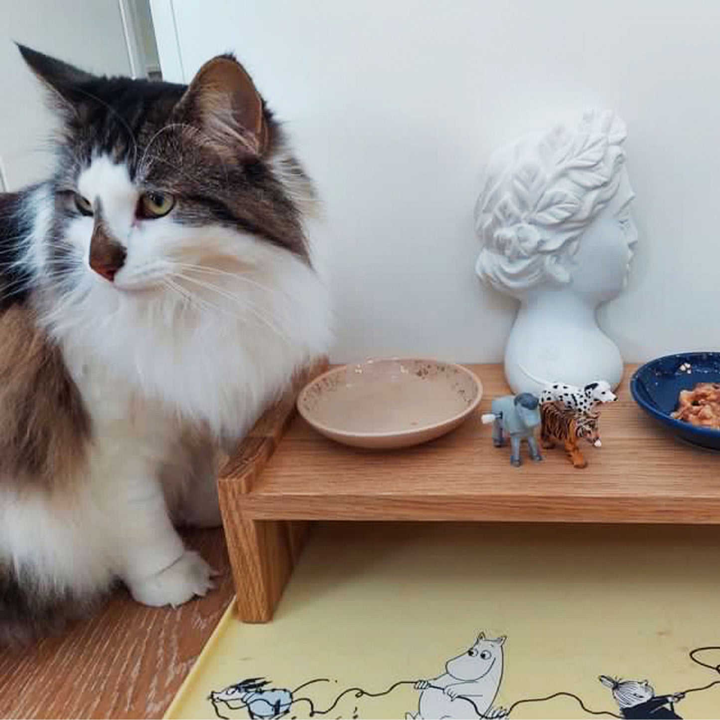 cat feeding table pet food table kissan ruokailutaso koiran ruokailutaso
