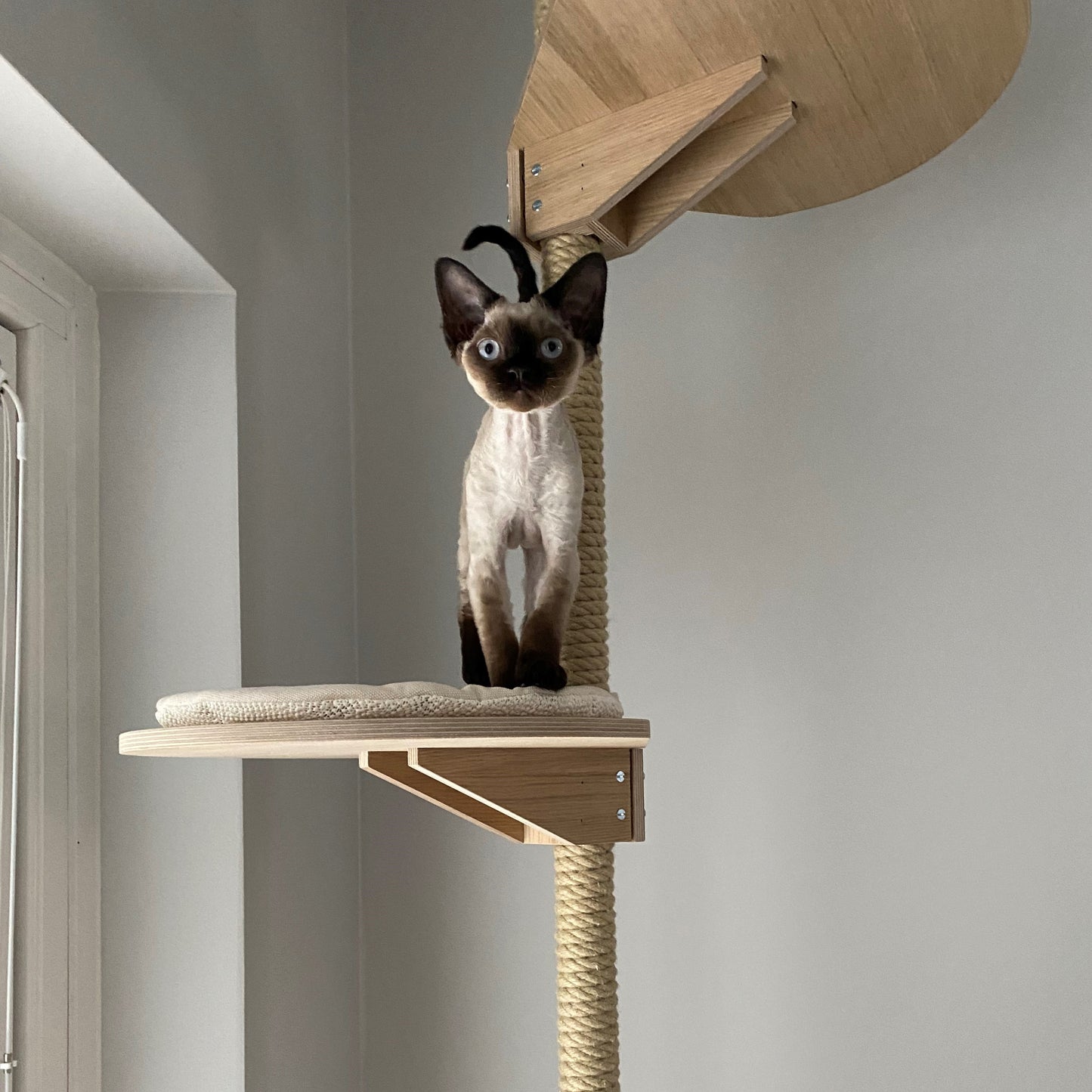 Cat bed - NEW EDITION