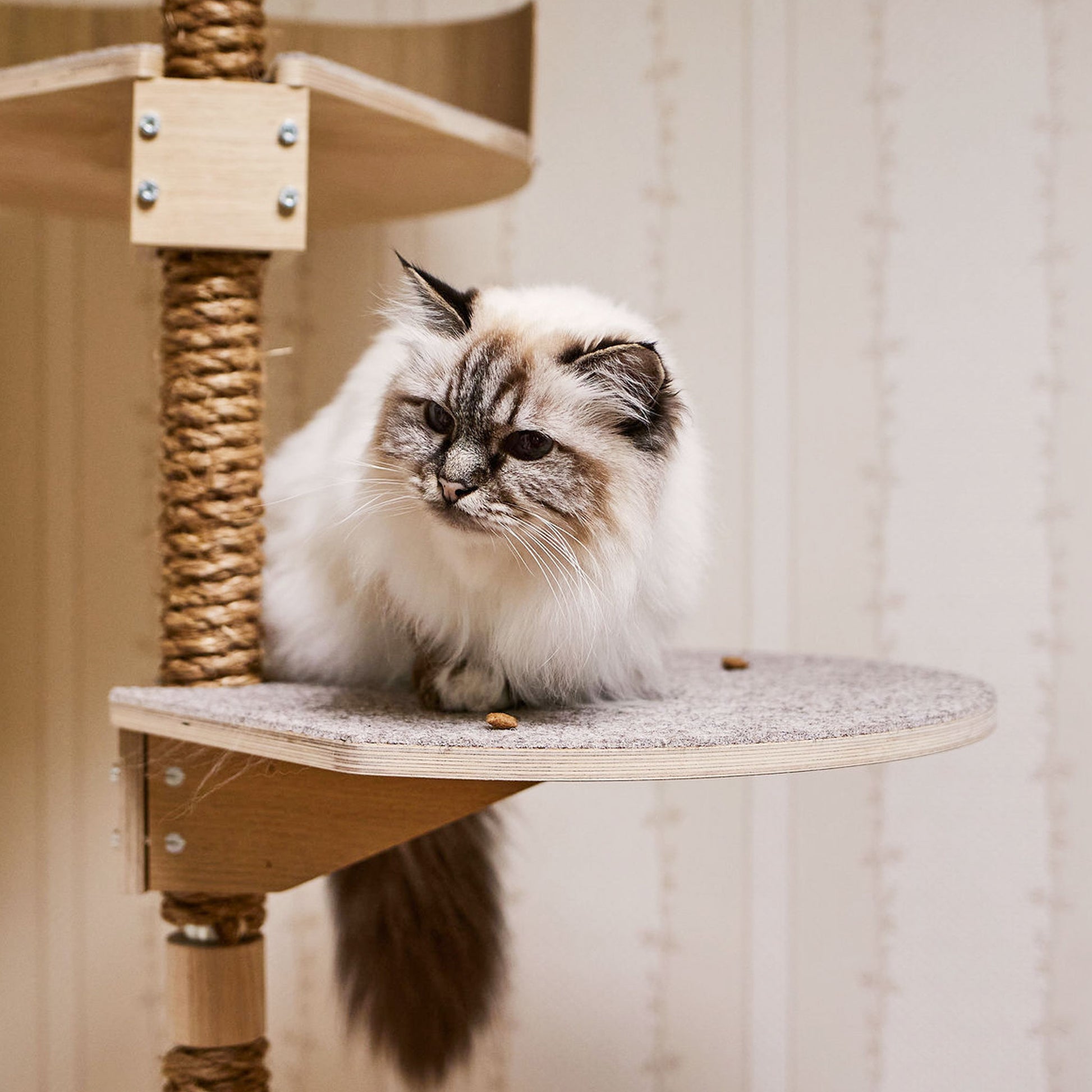 floor to ceiling cat tree vähän tilaa vievä kissan kiipeilypuu