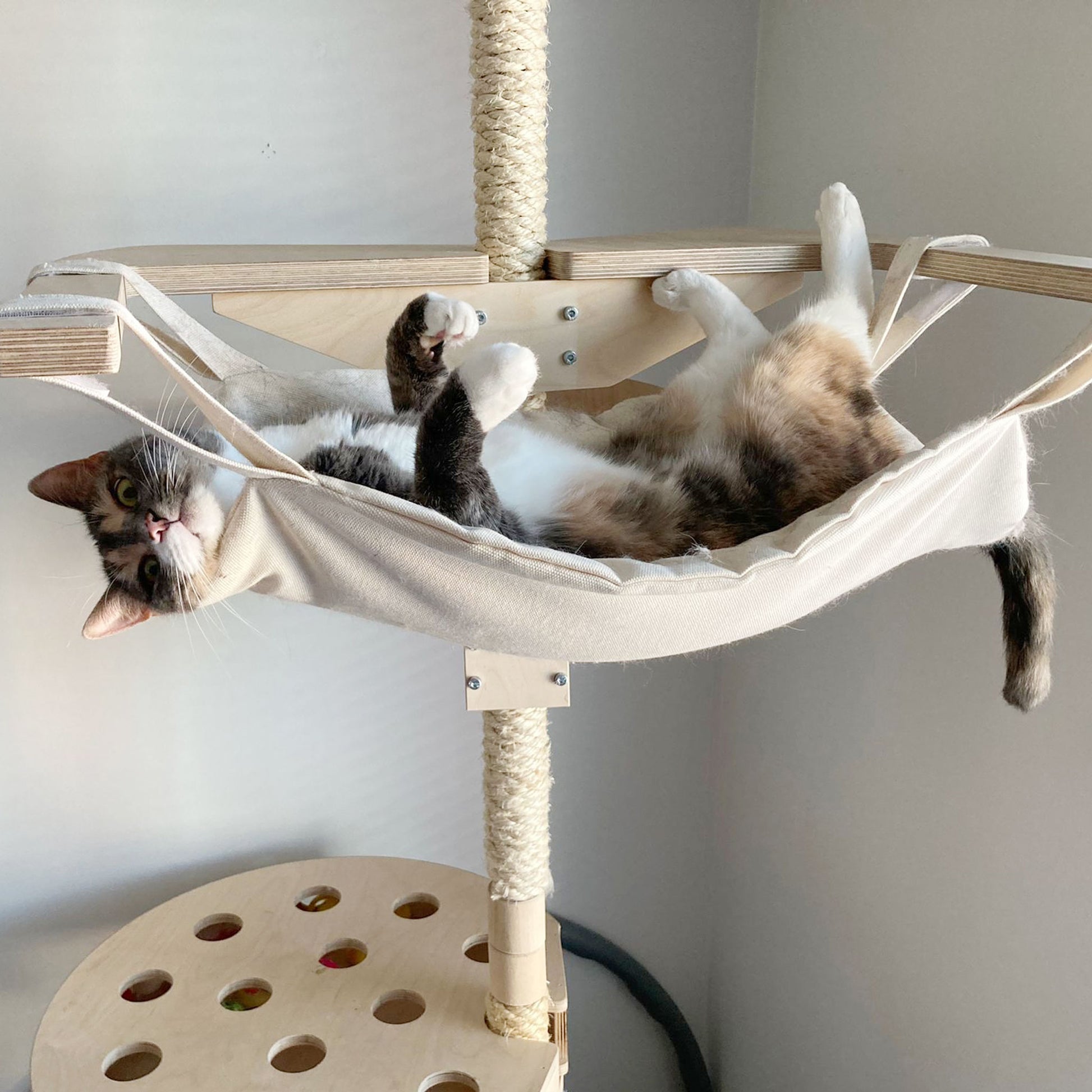 kissapuun keinu riippumatto cat tree swing hammock