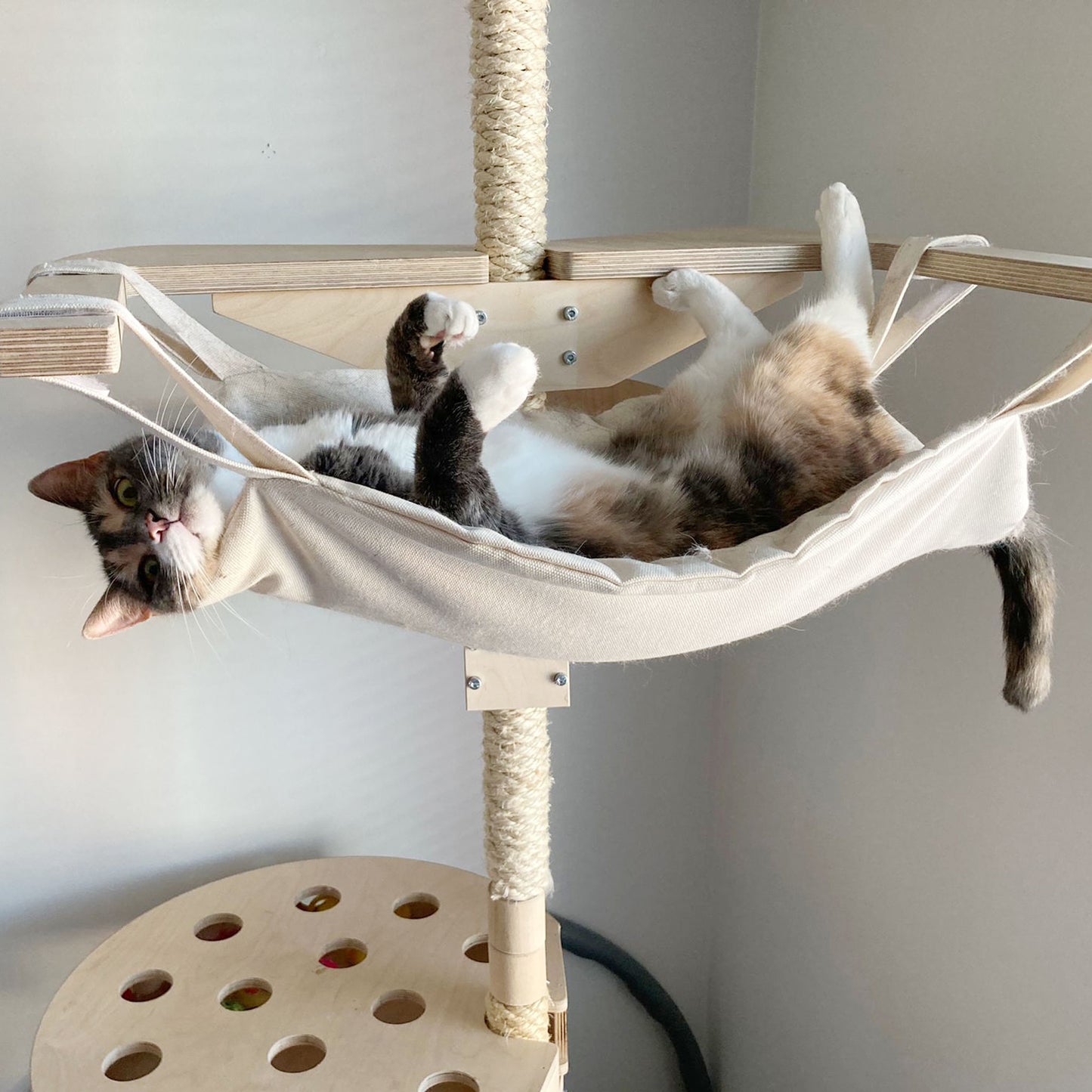 kissapuun keinu riippumatto cat tree swing hammock 