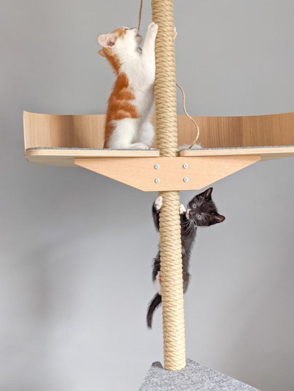 cat_climbing_tree_stylish_cat_furniture_design_cat_tree_tyylikas_kissapuu_design_kiipeilypuu