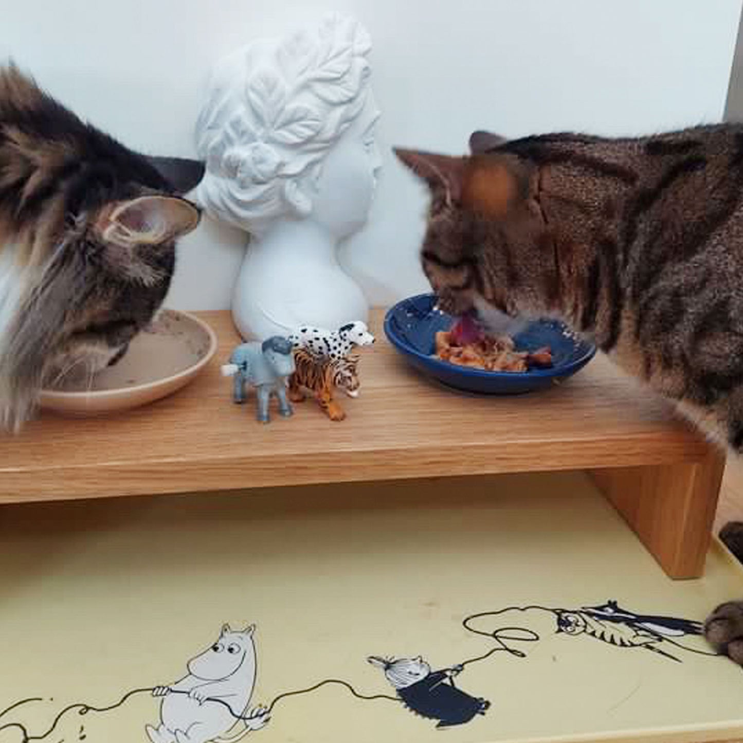 cat dog pet food table and bowls kissan koiran lemmikin ruokailutaso ruokakuppi