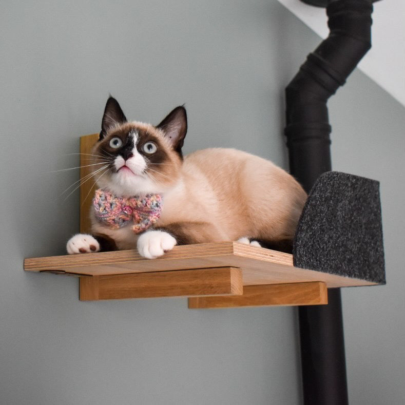 kissapuu cat wall shelf with felt edge kissapuun seinahylly huopalaita