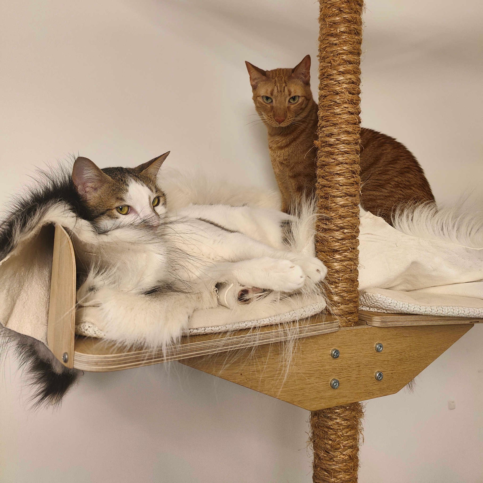kissapuu isoille kissoille cat climbing tree for big cats