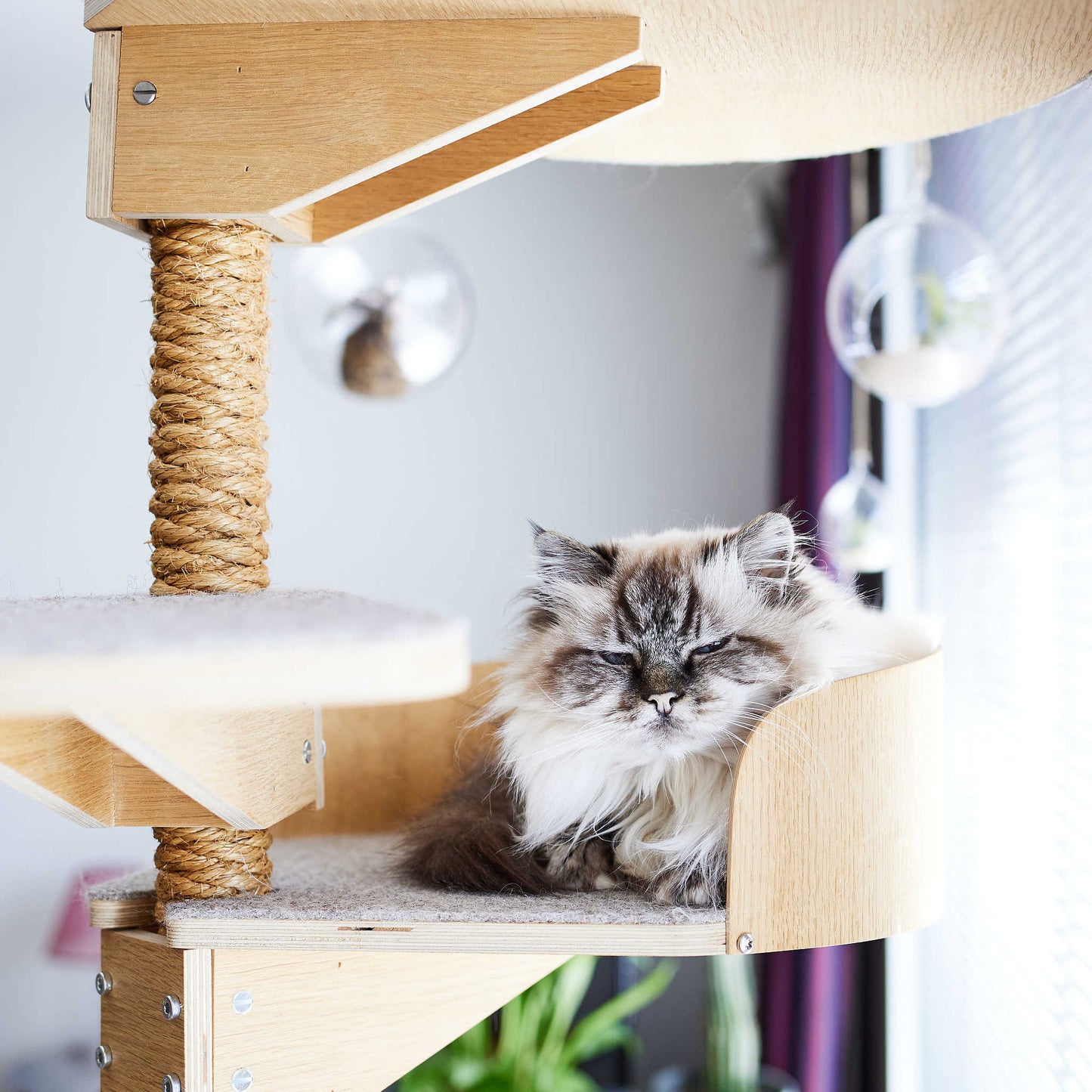 cat climbing tree cat tower kissan kiipeilypuu kissan raapimispuu