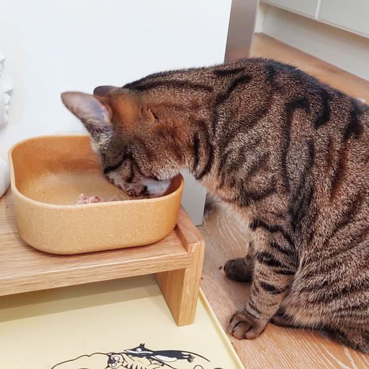 kissan ruokailutaso ja ruokailuastia cat feeding table and bowl