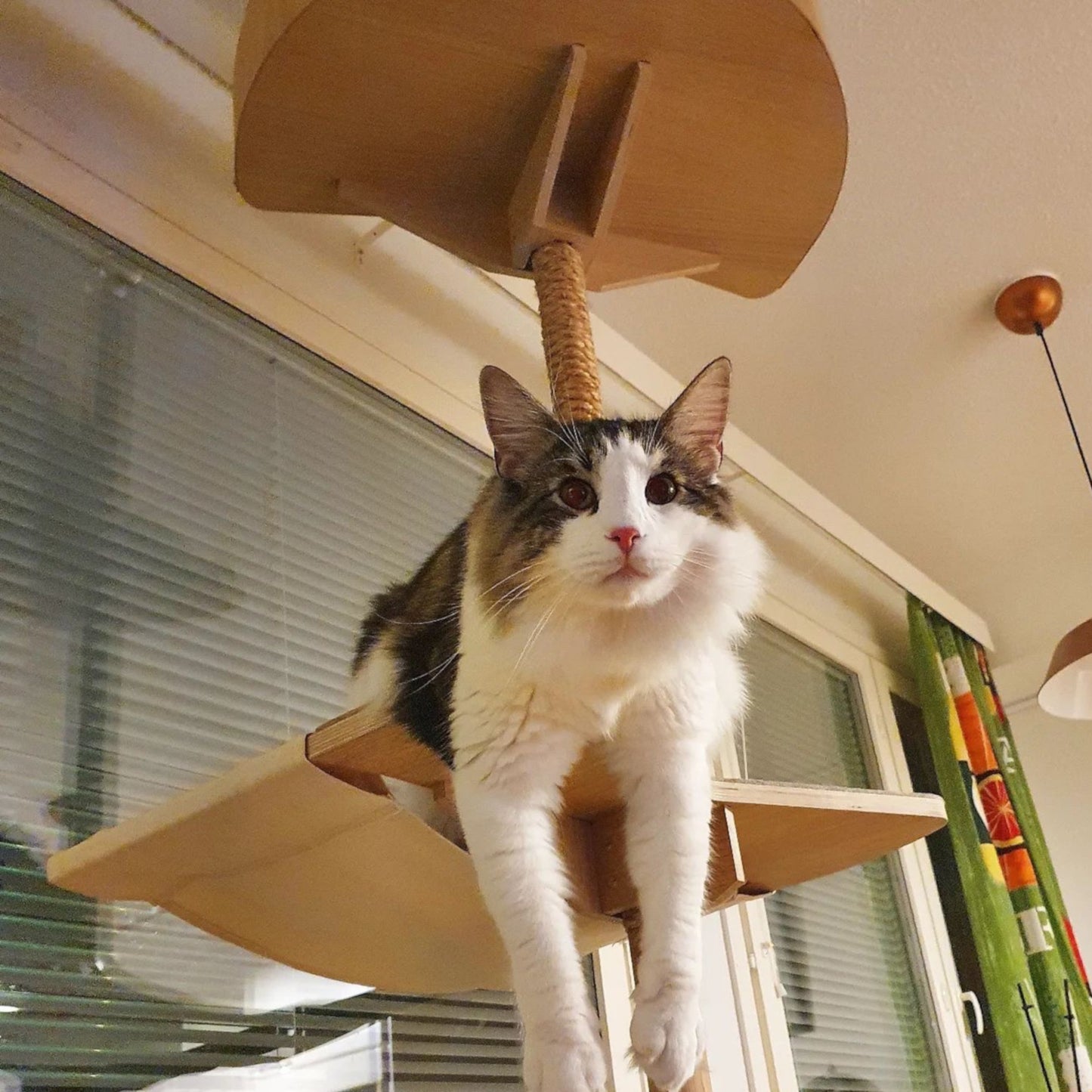 kissapuu cat tree hammock kissapuun riippumattotaso