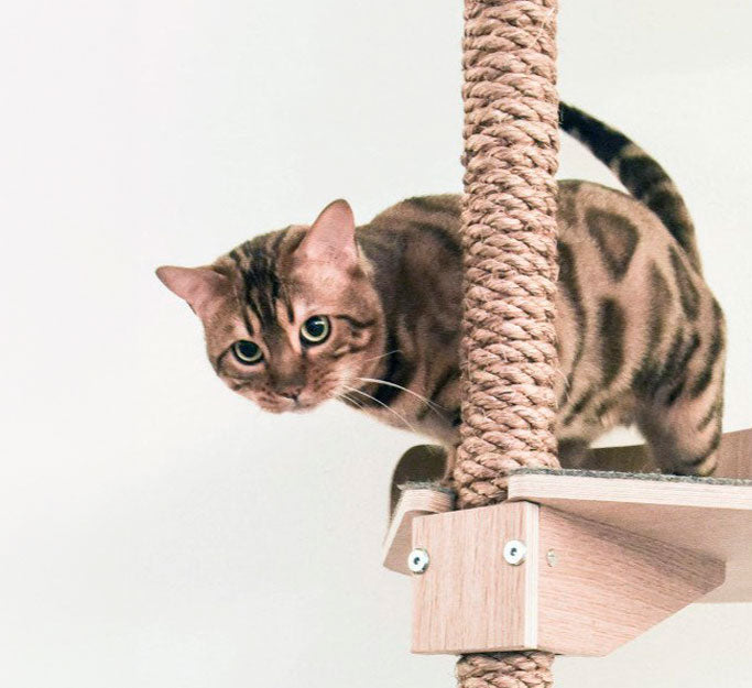 kissapuu cat tree is durable Kestava-yksi-elama-riittaa