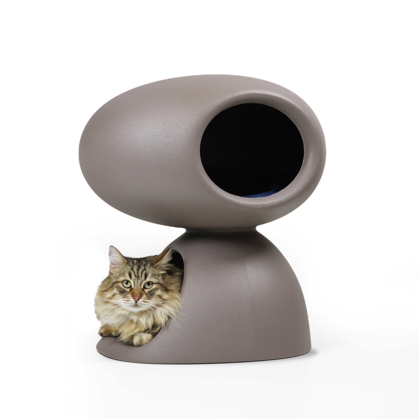 kissapuu_cat_scratching_bed_kissan_raapimispeti