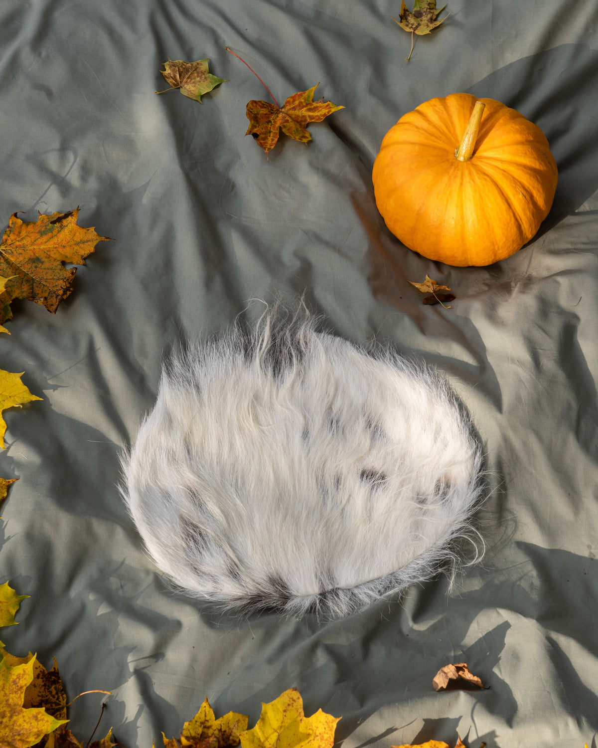 Kissan nukkuma-alusta vuohentaljalla
