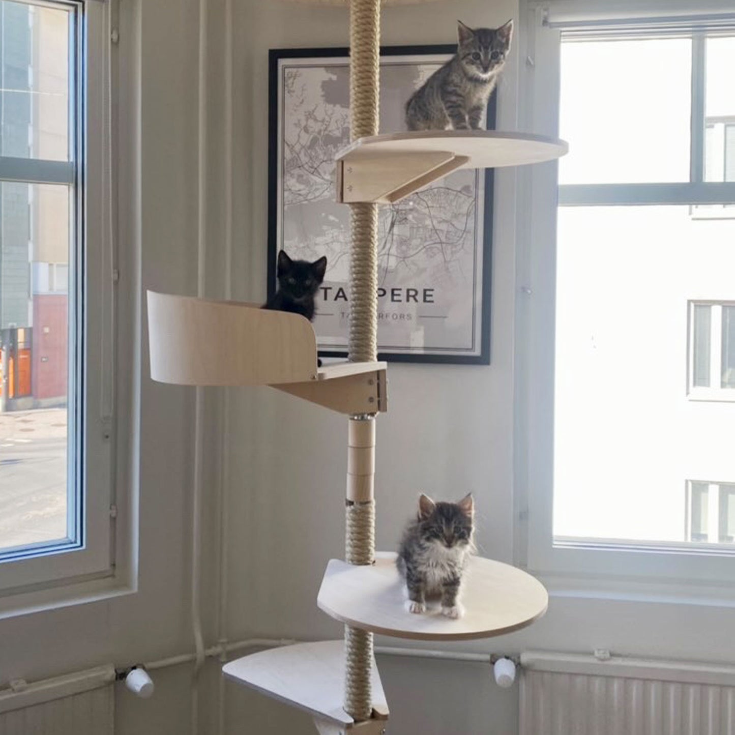 multilevel floor to ceiling cat climbing tree moniosainen kissan kiipeilypuu lattiasta kattoon