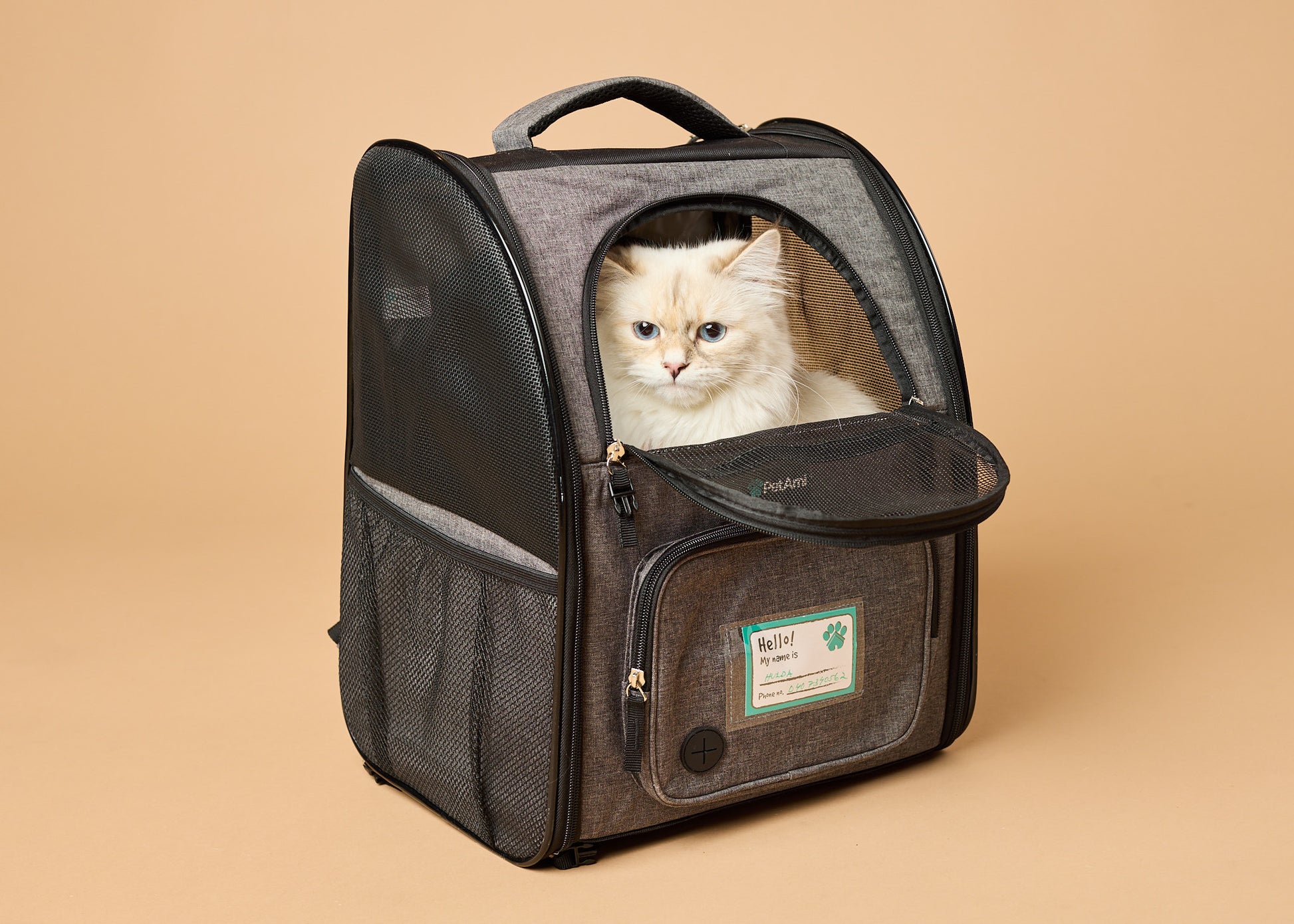 Hulda_kissapuu_kissan_kuljetusreppu_cat_carrier_backpack